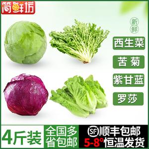 顺丰4斤装新鲜沙拉蔬菜色拉食材圆生菜球西生菜苦菊紫甘蓝罗莎绿