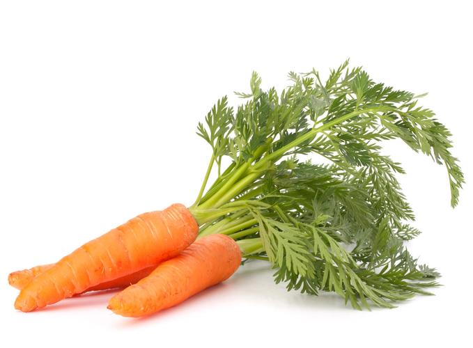 白色背景上分离的新鲜胡萝卜在白色背景上的新鲜胡萝卜黄色蔬菜汤用小