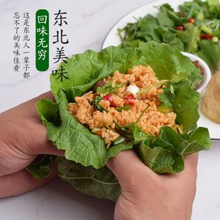 白菜叶子东北 20片新鲜 打饭包菜叶 蘸酱菜 大白菜叶饭包 包邮