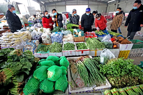 陕西大荔 春节市场货源充足价格保持平稳