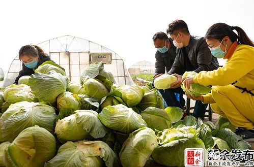 2月2日 新余2分钟知晓新 紧急通知 新余除这条公交路线,其他公交线路全部暂时停运